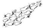 Rock Pathway (small)